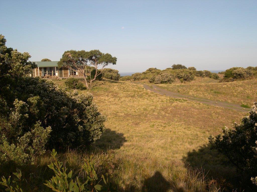 Shearwater Cottages Apollo Bay Rum bild