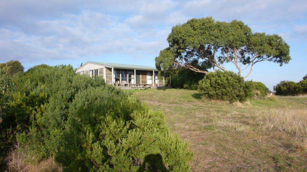 Shearwater Cottages Apollo Bay Rum bild