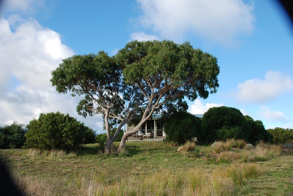 Shearwater Cottages Apollo Bay Rum bild