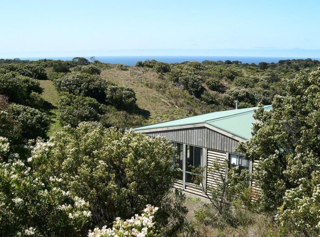 Shearwater Cottages Apollo Bay Rum bild