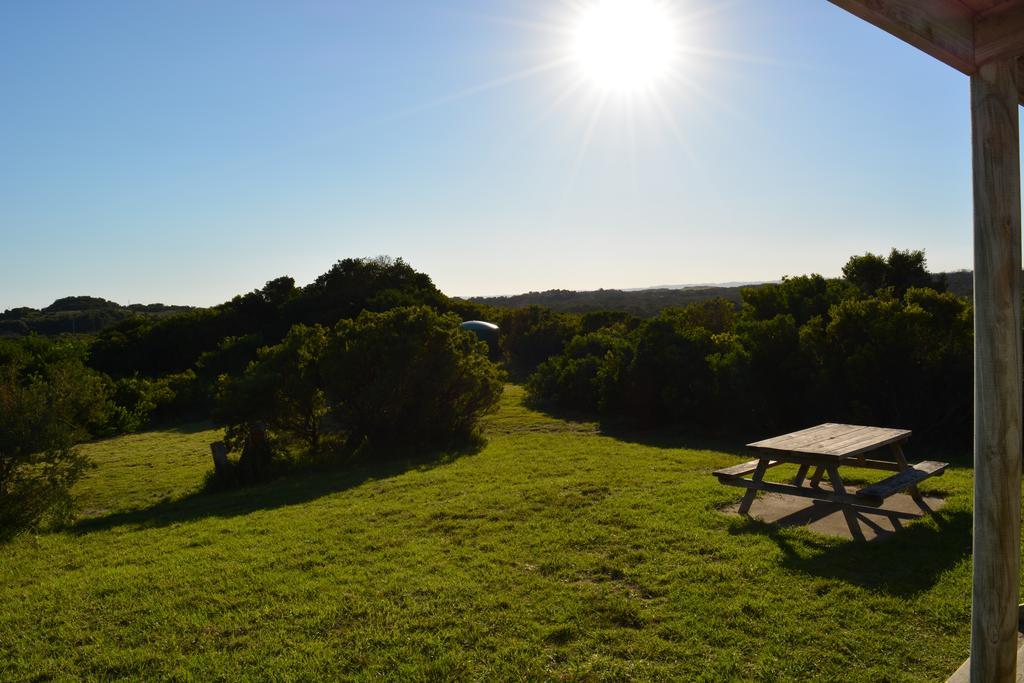 Shearwater Cottages Apollo Bay Rum bild