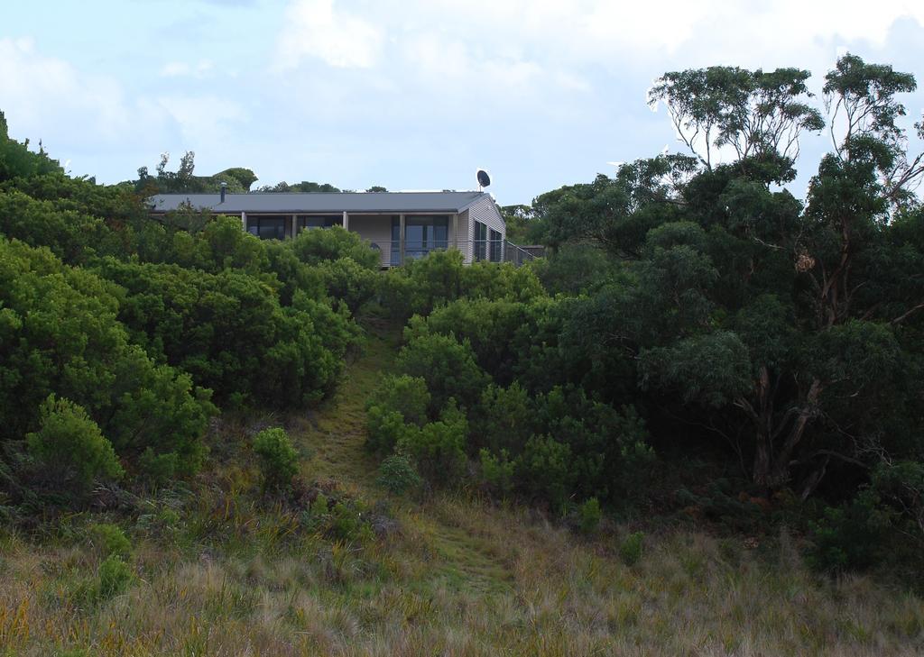 Shearwater Cottages Apollo Bay Rum bild