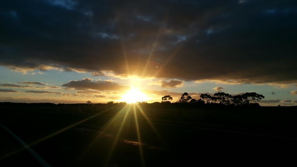 Shearwater Cottages Apollo Bay Exteriör bild