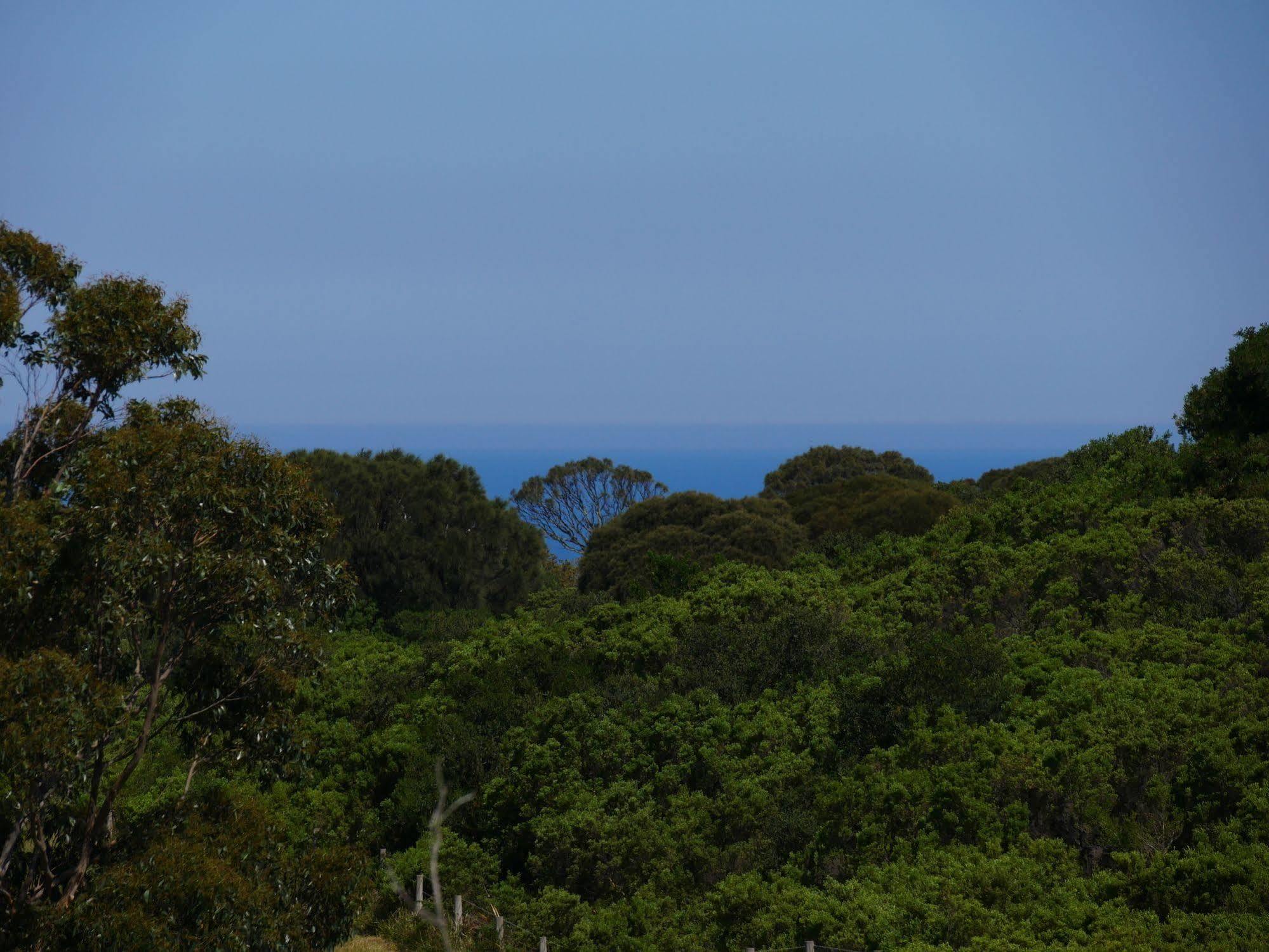 Shearwater Cottages Apollo Bay Exteriör bild