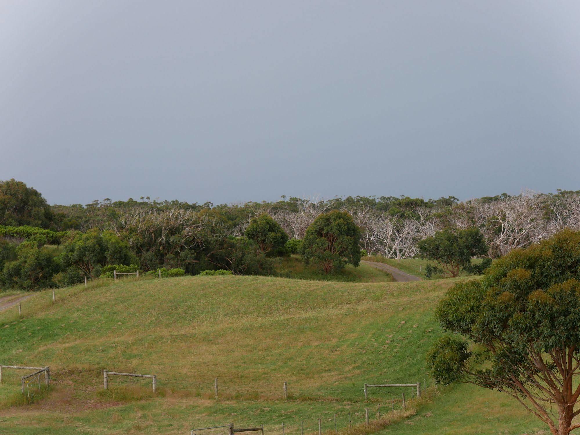 Shearwater Cottages Apollo Bay Exteriör bild