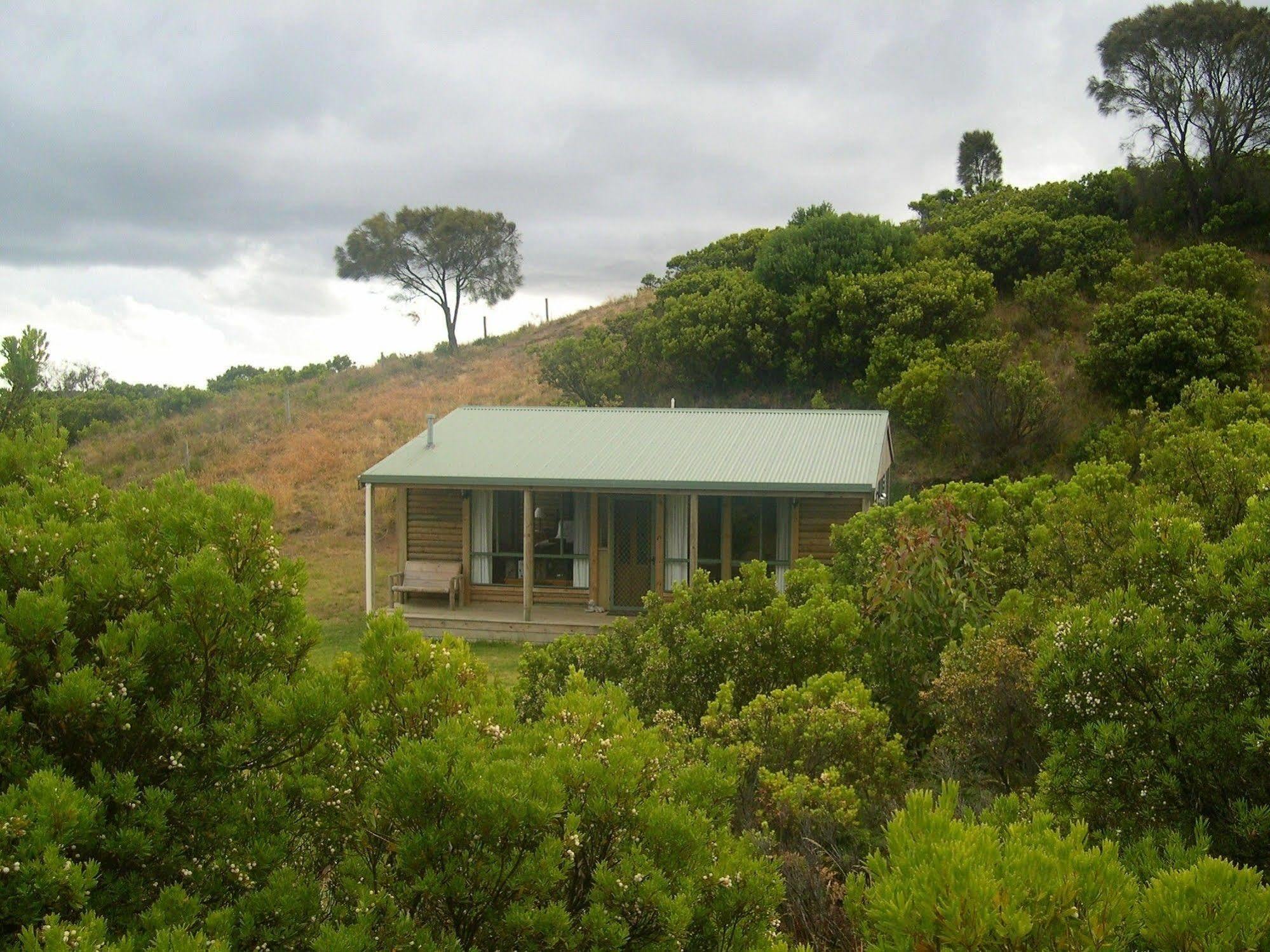 Shearwater Cottages Apollo Bay Exteriör bild