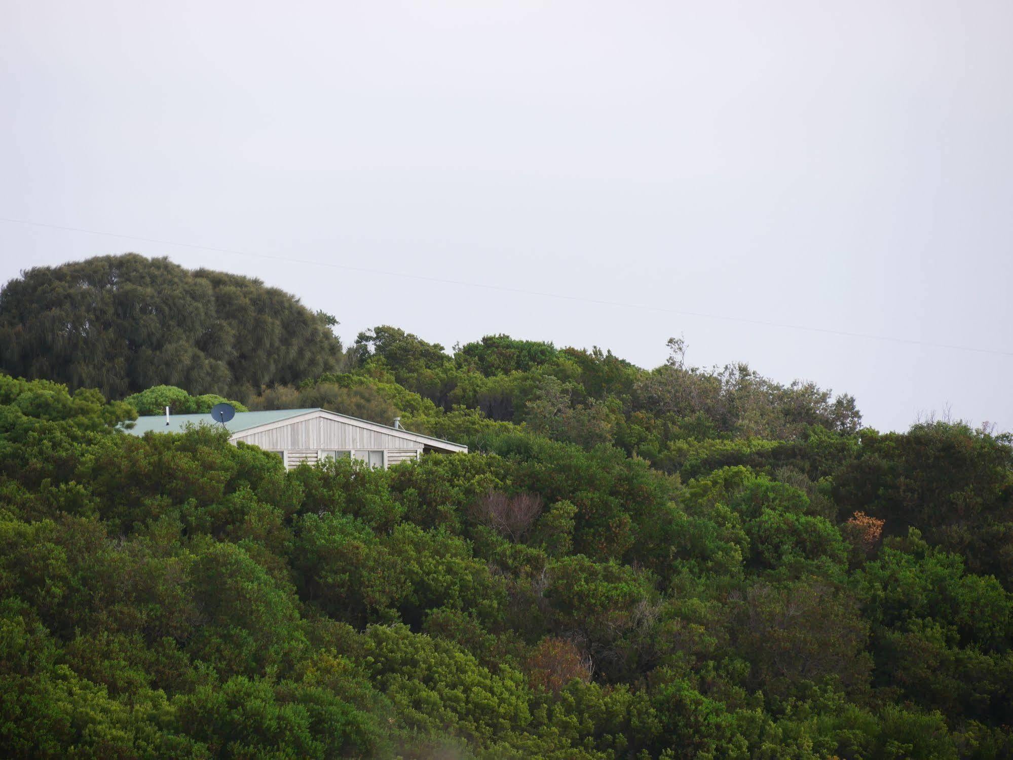 Shearwater Cottages Apollo Bay Exteriör bild